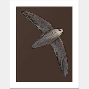 Chimney Swift Posters and Art